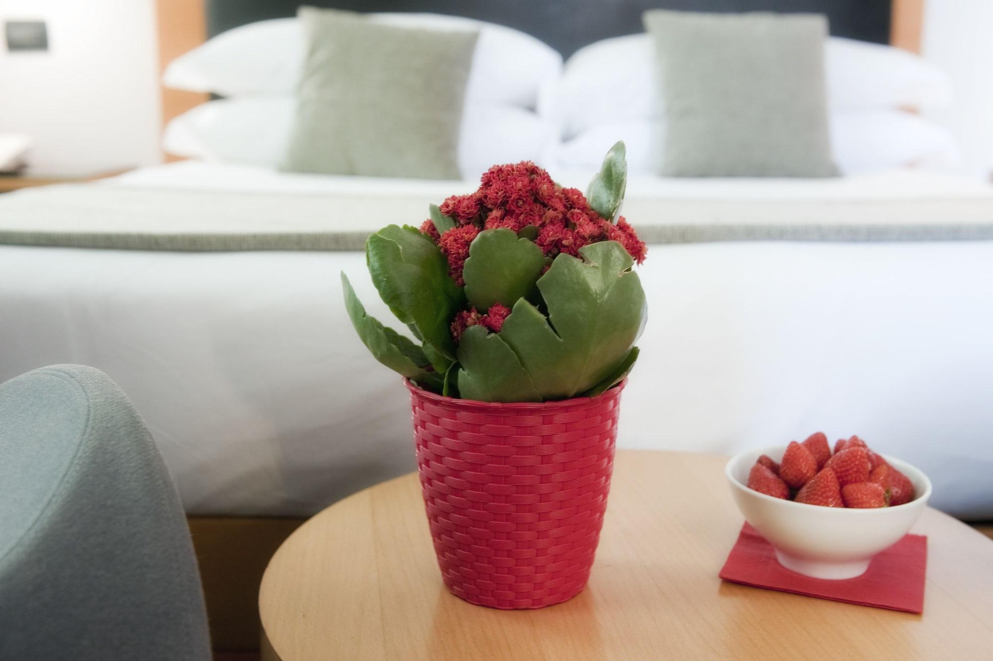 Hotel Western Ars 4*